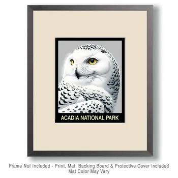 Snowy Owl - Acadia Maine Souvenir Home Decor Wall Art Prints – 8″x10″ Artwork – 11″x14″ Mat