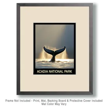 Whale Tail - Acadia Maine Souvenir Home Decor Wall Art Prints – 8″x10″ Artwork – 11″x14″ Mat