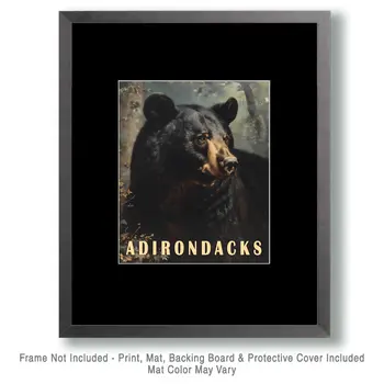 Bear - Adirondack State Park Souvenir Home Decor Wall Art Prints – 8″x10″ Artwork – 11″x14″ Matte