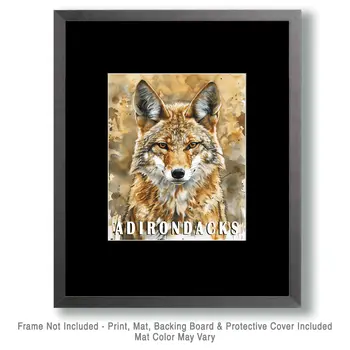 Coyote - Adirondack State Park Souvenir Home Decor Wall Art Prints – 8″x10″ Artwork – 11″x14″ Matte