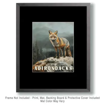 Gray Fox - Adirondack State Park Souvenir Home Decor Wall Art Prints – 8″x10″ Artwork – 11″x14″ Matte