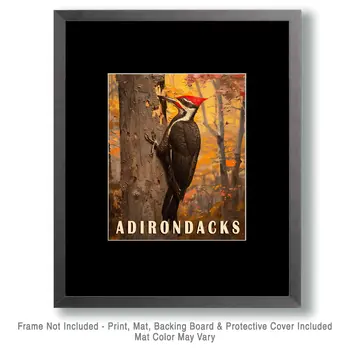 Pileated Woodpecker - Adirondack State Park Souvenir Home Decor Wall Art Prints – 8″x10″ Artwork – 11″x14″ Matte