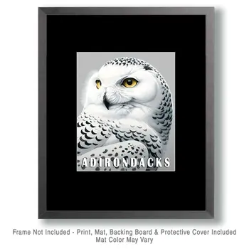 Snowy Owl - Adirondack State Park Souvenir Home Decor Wall Art Prints – 8″x10″ Artwork – 11″x14″ Matte