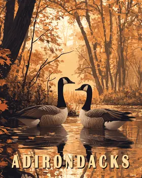 Canadian Geese - Adirondack State Park Souvenir Home Decor Wall Art Prints – 8″x10″ Artwork – 11″x14″ Matte