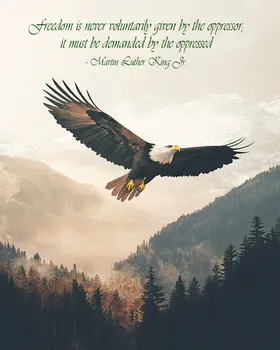 Freedom is Never Voluntary - Inspirational Art Prints Wall Art Prints - 8"x10" Art Print for 11"x14" Frame