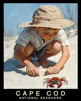 Interesting Crab - Cape Cod Souvenir Home Decor Wall Art Prints – 8″x10″ Artwork – 11″x14″ Mat