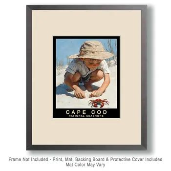 Interesting Crab - Cape Cod Souvenir Home Decor Wall Art Prints – 8″x10″ Artwork – 11″x14″ Mat