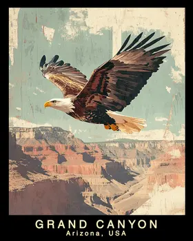 Bald Eagle - Grand Canyon Souvenir Home Decor Wall Art Prints – 8″x10″ Artwork – 11″x14″ Matte