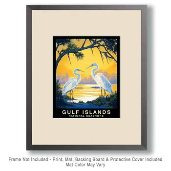 Egrets - Gulf Island Souvenir Home Decor Wall Art Prints – 8″x10″ Artwork – 11″x14″ Mat