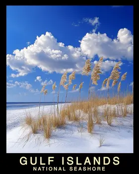 Sand Dunes - Gulf Island Souvenir Home Decor Wall Art Prints – 8″x10″ Artwork – 11″x14″ Mat
