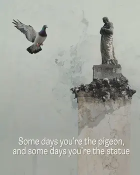 Pigeon - Motivational Art Prints Wall Art Prints - 8"x10" Art Print for 11"x14" Frame