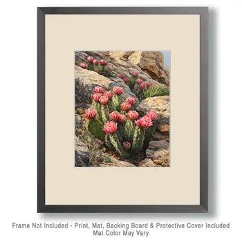 Strawberry Pitaya Cactus Blooming - Western and Southwestern Home Decor Wall Art Prints – 8″x10″ Artwork – 11″x14″ Matte