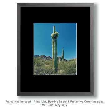 Saguaro Giving the Finger - Western and Southwestern Art Prints – 8″x10″ Artwork for 11″x14″ Frame
