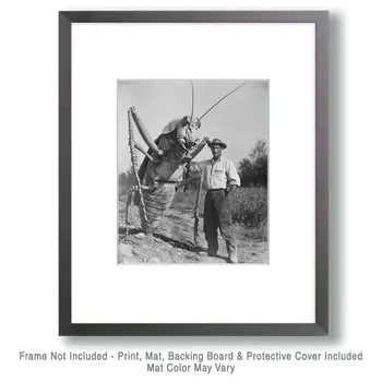 Giant Grasshopper - Cryptid Art Prints - 8"x10" Art Print for 11"x14" Frame