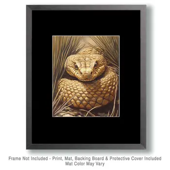 Golden Viper - Western and Southwestern Art Prints – 8″x10″ Artwork for 11″x14″ Frame