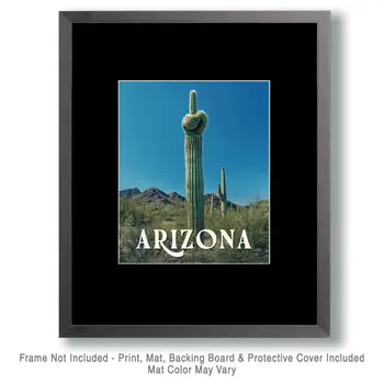 Saguaro Giving the Finger - Arizona Art Prints – 8″x10″ Artwork for 11″x14″ Frame