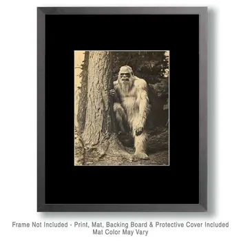White Sasquatch - Bigfoot - Mythical Beasts Wall Art Prints – 8″x10″ Artwork for 11″x14″ Frame