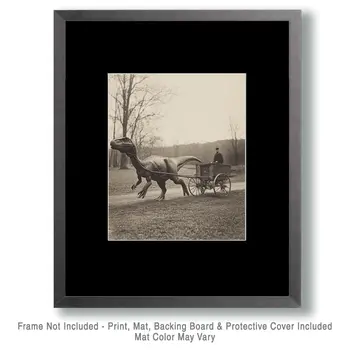 Horseless Carriage - Cryptid Dinosaur Wall Art Prints - 8"x10" Art Print for 11"x14" Frame