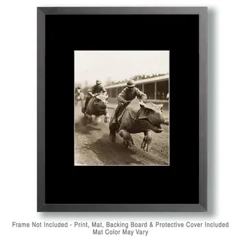 Dinosaur Races - Cryptid Cryptozoology Dinosaur Wall Art Prints - 8"x10" Art Print for 11"x14" Frame