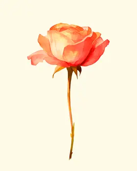 Rose - Nursery Wall Art Prints - 8"x10" Art Print for 11"x14" Frame