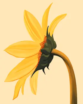 Sunflower - Nursery Wall Art Prints - 8"x10" Art Print for 11"x14" Frame