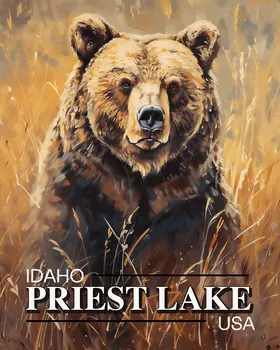 Priest Lake Grizzly Bear - Idaho Souvenir Wall Art Prints – 8″x10″ Artwork for 11″x14″ Frame