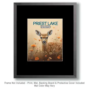 Priest Lake Fawn - Idaho Souvenir Wall Art Prints – 8″x10″ Artwork for 11″x14″ Frame