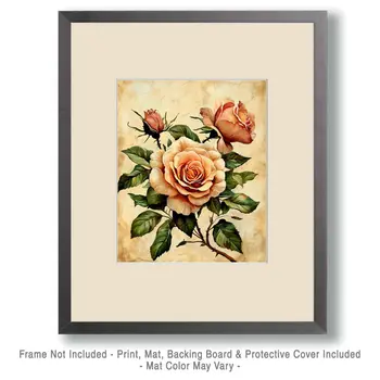 Heirloom Roses - Vintage Art Prints - 8"x10" Art Print for 11"x14" Frame