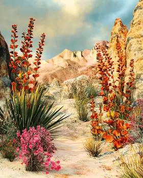 Sonoran Desert Flora - Southwestern Home Decor Wall Art Prints – 8″x10″ Artwork for 11″x14″ Frame