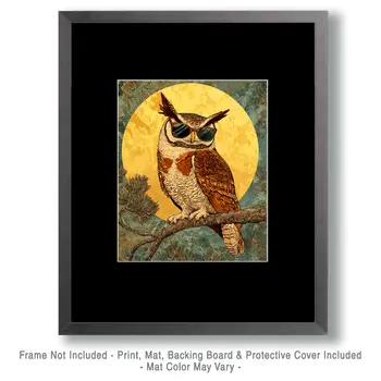 Cool Owl - Anthropomorphic Animal Art Prints – 8″x10″ Artwork for 11″x14″ Frame