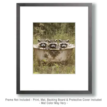 Raccoons in Bathtub - Bathroom Wall Art Prints – 8″x10″ Artwork for 11″x14″ Frame