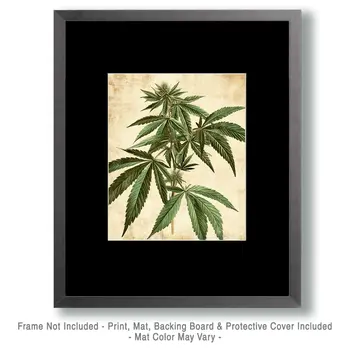 Marijuana Plant Wall Art Prints – 8″x10″ Artwork for 11″x14″ Frame