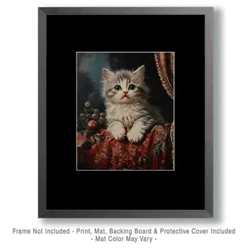 Gray and White Kitten - Animal Still Life Wall Art Prints – 8″x10″ Artwork for 11″x14″ Frame