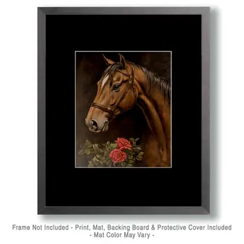 Horse Portrait - Animal Still Life Wall Art Prints – 8″x10″ Artwork for 11″x14″ Frame