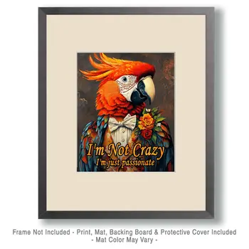 Not Crazy - Parrot Animal Memes – 8″x10″ Artwork in 11″x14″ Mat