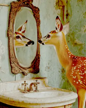 Deer Looking in Mirror - Bathroom Wall Art Prints – 8″x10″ Artwork for 11″x14″ Frame