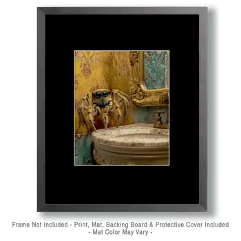 Spider Looking in a Mirror - Bathroom Wall Art Prints – 8″x10″ Artwork for 11″x14″ Frame