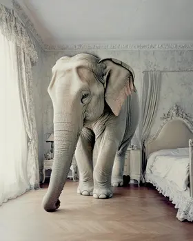 The Elephant in the Bedroom - Bedroom Art Prints – 8″x10″ Artwork in 11″x14″ Mat