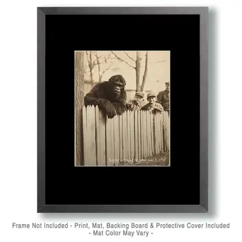 Watching the Game - Bigfoot and Sasquatch Wall Art Prints – 8″x10″ Artwork in 11″x14″ Mat