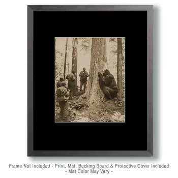 Hiding - Bigfoot and Sasquatch Wall Art Prints – 8″x10″ Artwork in 11″x14″ Mat