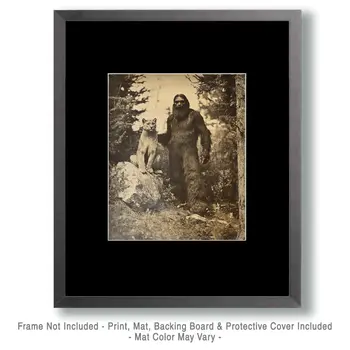 Pet Mountain Lion - Bigfoot and Sasquatch Wall Art Prints – 8″x10″ Artwork in 11″x14″ Mat