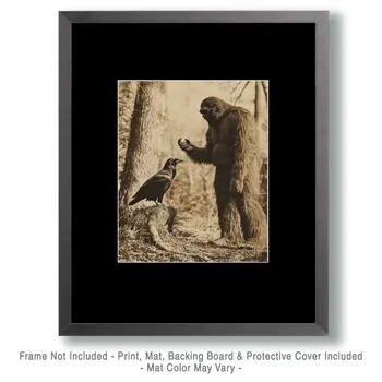 Discussion with a Raven - Bigfoot Art Prints – 8″x10″ Artwork in 11″x14″ Mat
