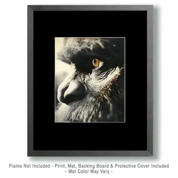 Bigfoot Close-Up - Art Prints – 8″x10″ Artwork in 11″x14″ Mat