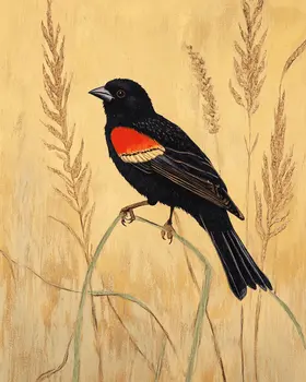 Redwing Blackbird - Log Cabin Companions Wall Art Prints – 8″x10″ Artwork for 11″x14″ Frame