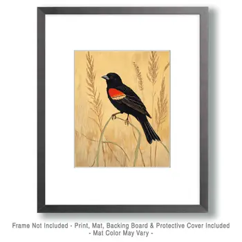 Redwing Blackbird - Log Cabin Companions Wall Art Prints – 8″x10″ Artwork for 11″x14″ Frame