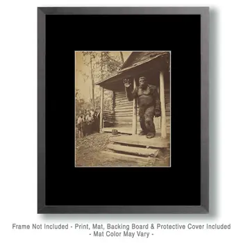 Bigfoot in a Tree Art Prints - 8"x10" Artwork for 11"x14" Frame