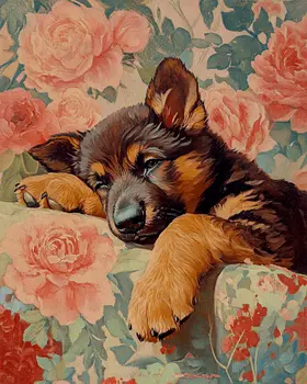 Sleeping German Shepherd Puppy - Pet Dog Still Life Wall Art Prints – 8″x10″ Artwork for 11″x14″ Frame