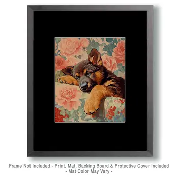 Sleeping German Shepherd Puppy - Pet Dog Still Life Wall Art Prints – 8″x10″ Artwork for 11″x14″ Frame