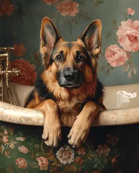 German Shepherd in Bathtub - Pet Dog Still Life Wall Art Prints – 8″x10″ Artwork for 11″x14″ Frame