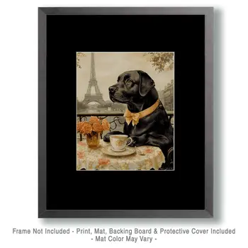 Black Labrador Retriever at a Paris Cafe - Pet Dog Still Life Wall Art Prints – 8″x10″ Artwork for 11″x14″ Frame